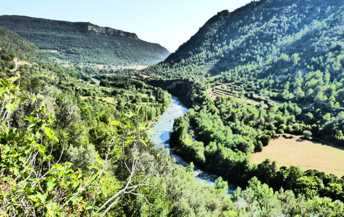 "Paisaje del valle de Benasque y el río Ésera”.